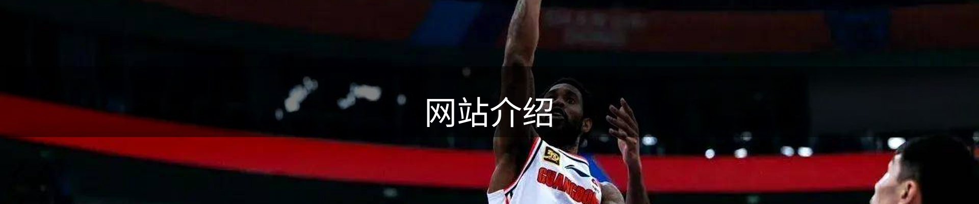 网站介绍